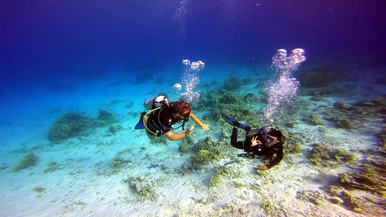 Maleo Moyo Hotel & Dive Resort Moyo Island Екстер'єр фото