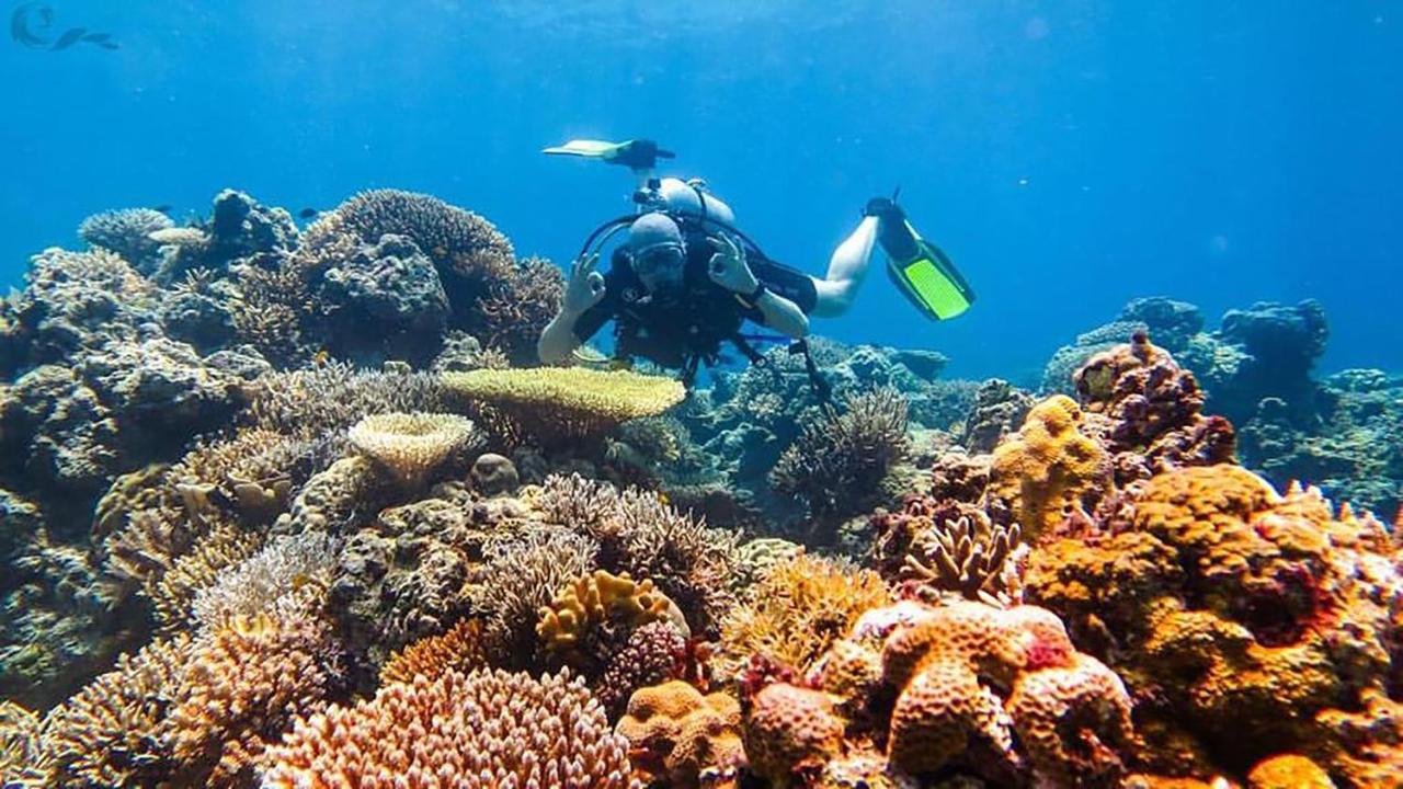 Maleo Moyo Hotel & Dive Resort Moyo Island Екстер'єр фото